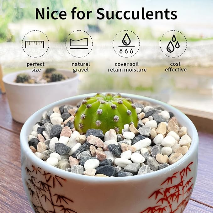 5 lbs Succulent and Cactus Pebbles for Indoor Plants, 3/8 Inch Pea Gravel Decorative River Rocks for Plants, Vases, Terrarium, Aquarium, Potted Top Dressing and Outdoor Landscaping Stones