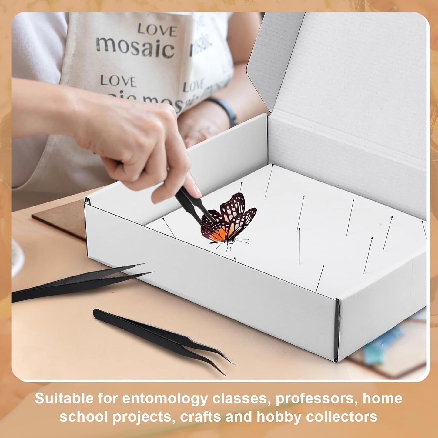 Taiyin 2 Sets Insect Pinning Kits Include 2 Insect Pinning Boxes 2 Insect Pinning Boards 100 Insect Pins and 3 Tweezers for Project Bugs Collection and Specimen Displays