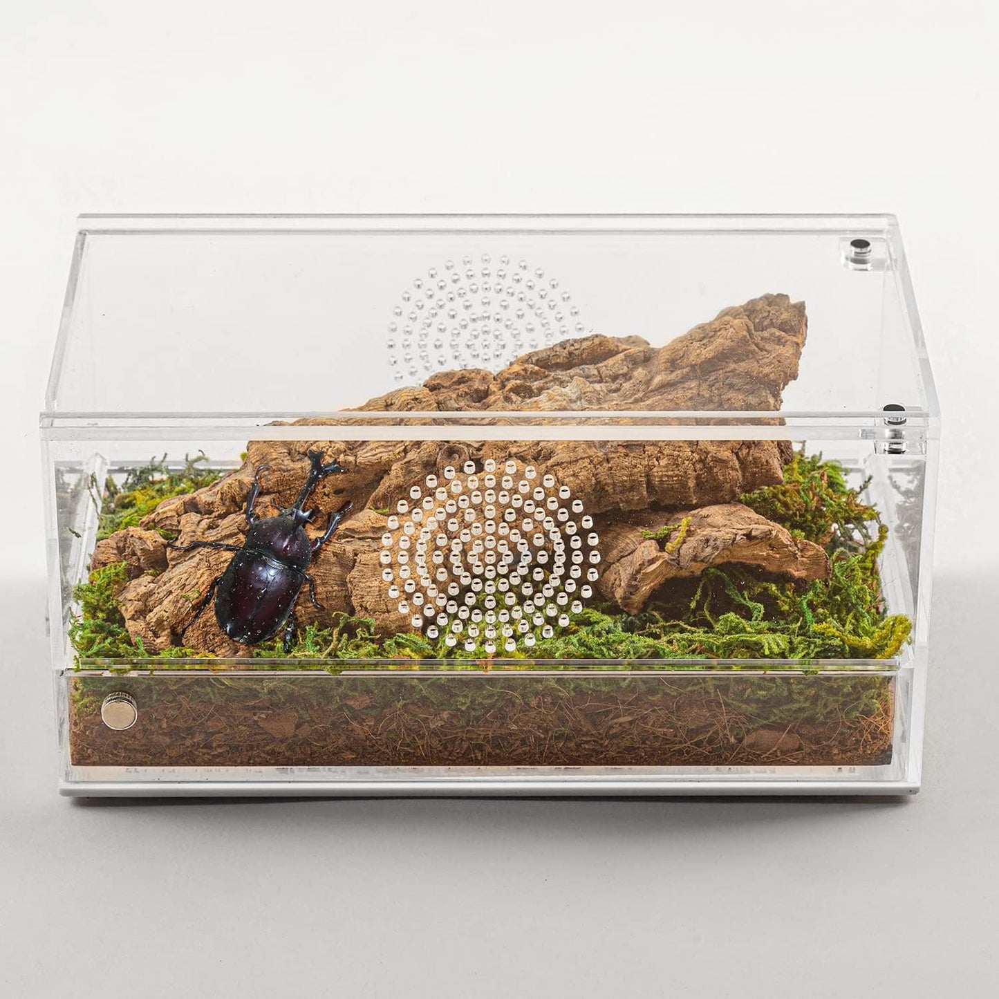 REPTI ZOO Magnetic Acrylic Reptile Terrarium 8" x 4" x 4", Transparent Tarantula Spider Enclosure Micro Breeding Box for Hermit Crab Snail Mantis Frog Insects