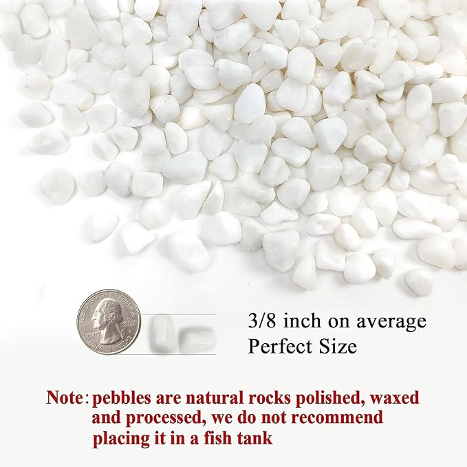 White Pebbles for Indoor Plants, 3/8 Inch Decorative White Stones. Polished River Rocks for Potted Plants Vase Cactus Bird Bath and Outdoor Garden Landscaping