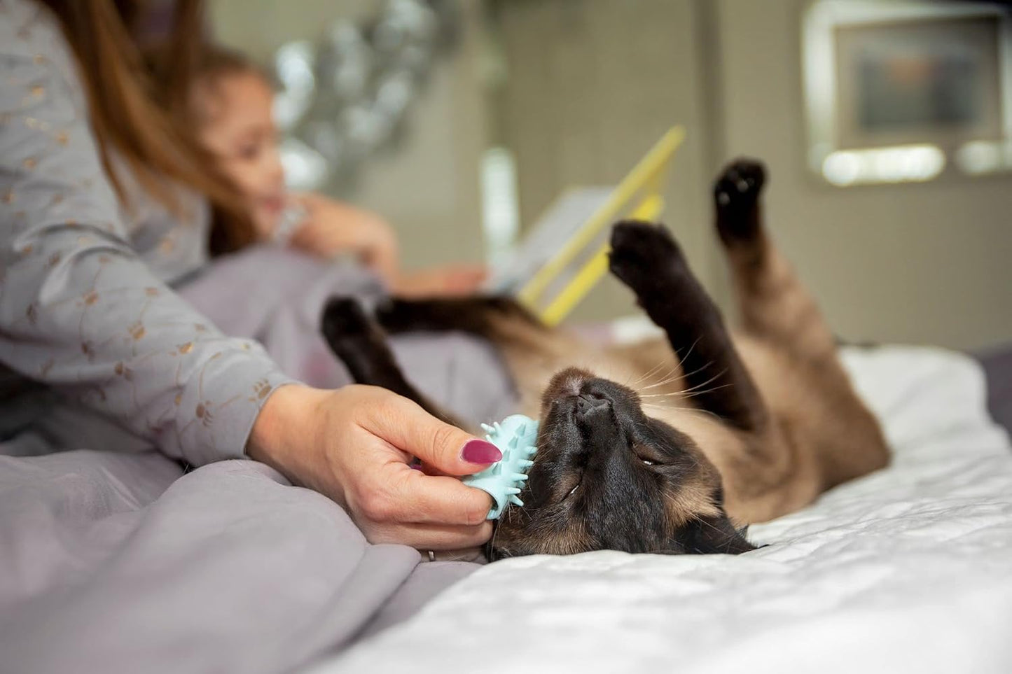 Furr&Purr Cat Brush, Scratcher, and Massager - Indoor Cat Calming Care with Face Scratcher, Finger Brush (3-Pack, Made in USA)