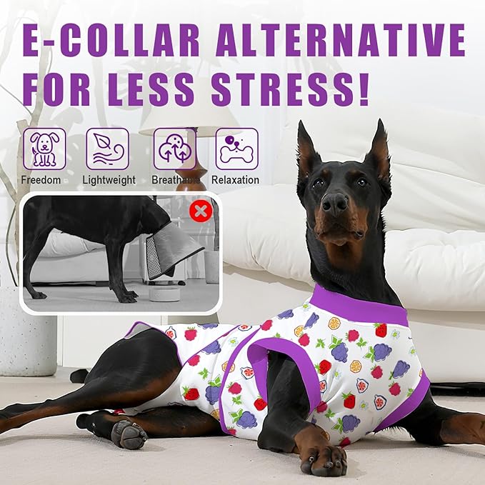 Recovery Suit for Dogs After Surgery, Professional Dog Surgical Suit for Female Spay, Male Neuter, E-Collar & Cone Alternative Dog Onesie for Abdominal Wounds Skin Disease, Purple, XXL