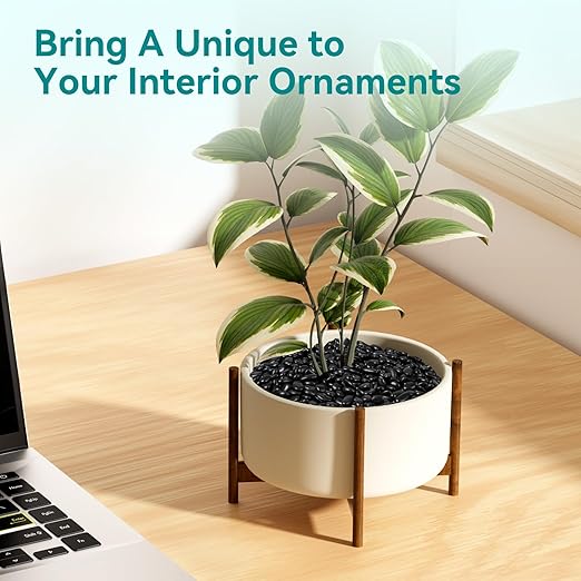 5 lbs Black Pebbles for Indoor Plants, 3/8" Small Rocks for Plants Indoor, Succulent, Bamboo, Vase, Decorative Black River Rocks Pea Gravel, Highly Polished