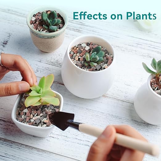 2.5lbs Terrarium Rocks for Pots Indoor, Succulent, Cactus, Bamboo, Bonsai Tree, 1/5 Inch Rocks for Planters Drainage, Mixed Color Small Lava Rocks for Top-Dressing