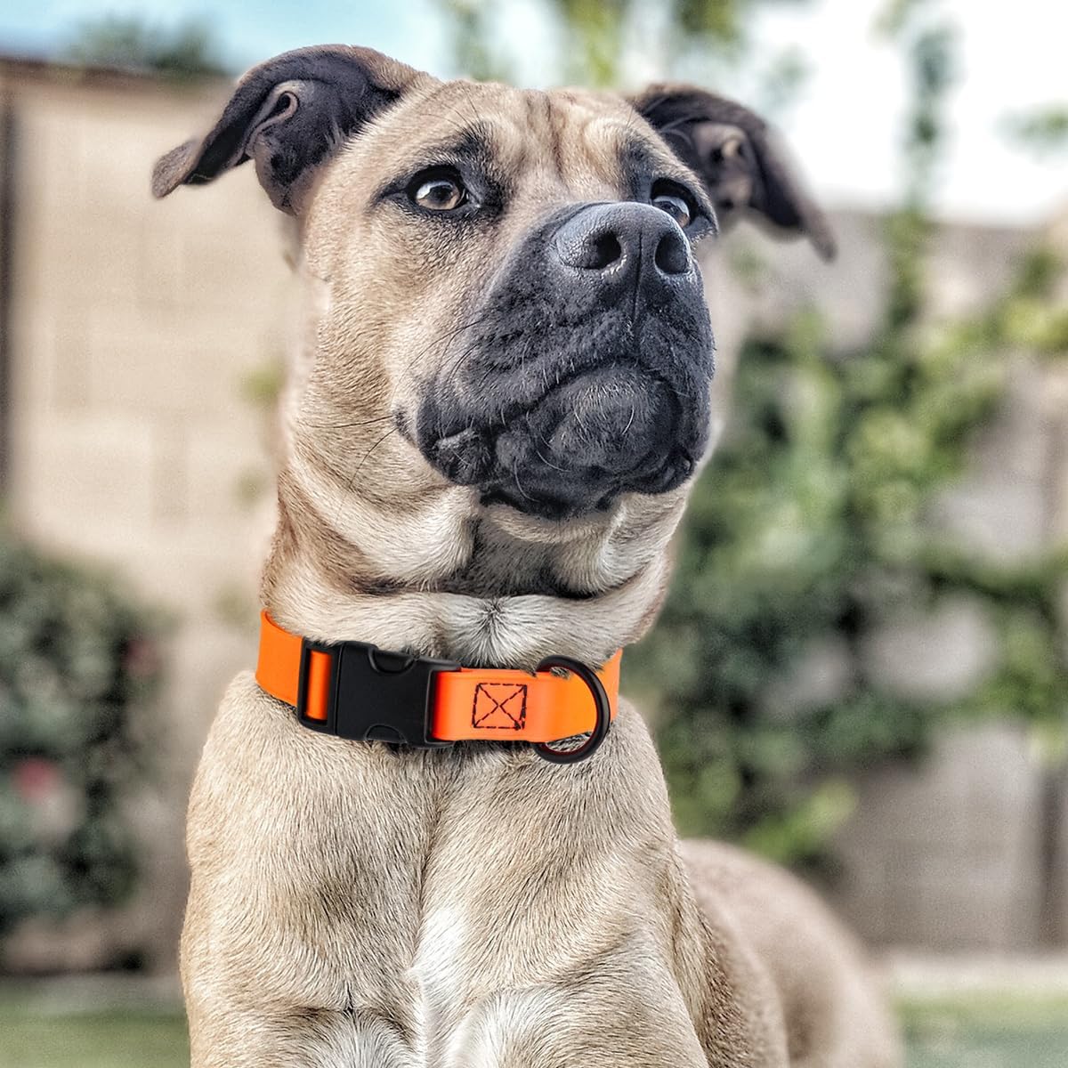 Dogline Biothane Waterproof Dog Collar with Quick Release Buckle Strong Coated Nylon Webbing with Odor- Proof for Easy Care Easy to Clean Fits Small Medium Large Dogs, Orange 5/8" W 9-14" L