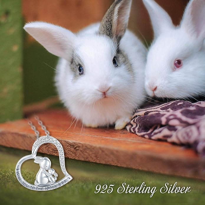 MEDWISE 925 Sterling Silver Dog Paw Print/Rabbit/Panda/Frog Necklace Pendant Heart Necklace Jewelry Gifts for Women Ladies Wife Mother Daughter Granddaughter Birthday Christmas