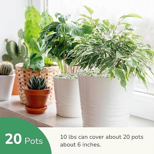 GreatBuddy 10-lb Decorative Rocks for Indoor Plants, 3/8" Jade Pebbles for Planters, Gravel for Succulent, Vases, Bamboo, Garden Landscaping, Crafts, Aquariums, Natural Polished