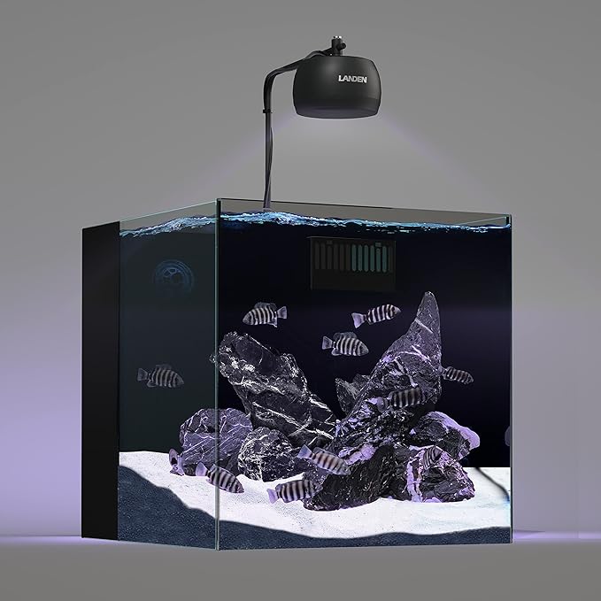 LANDEN Natural Tonwa Stones Slate Stones for Aquariums Terrariums, Paludarium,Vivariums, Reptile and Amphibian Enclosures (17lbs, 2 to 8 inches)