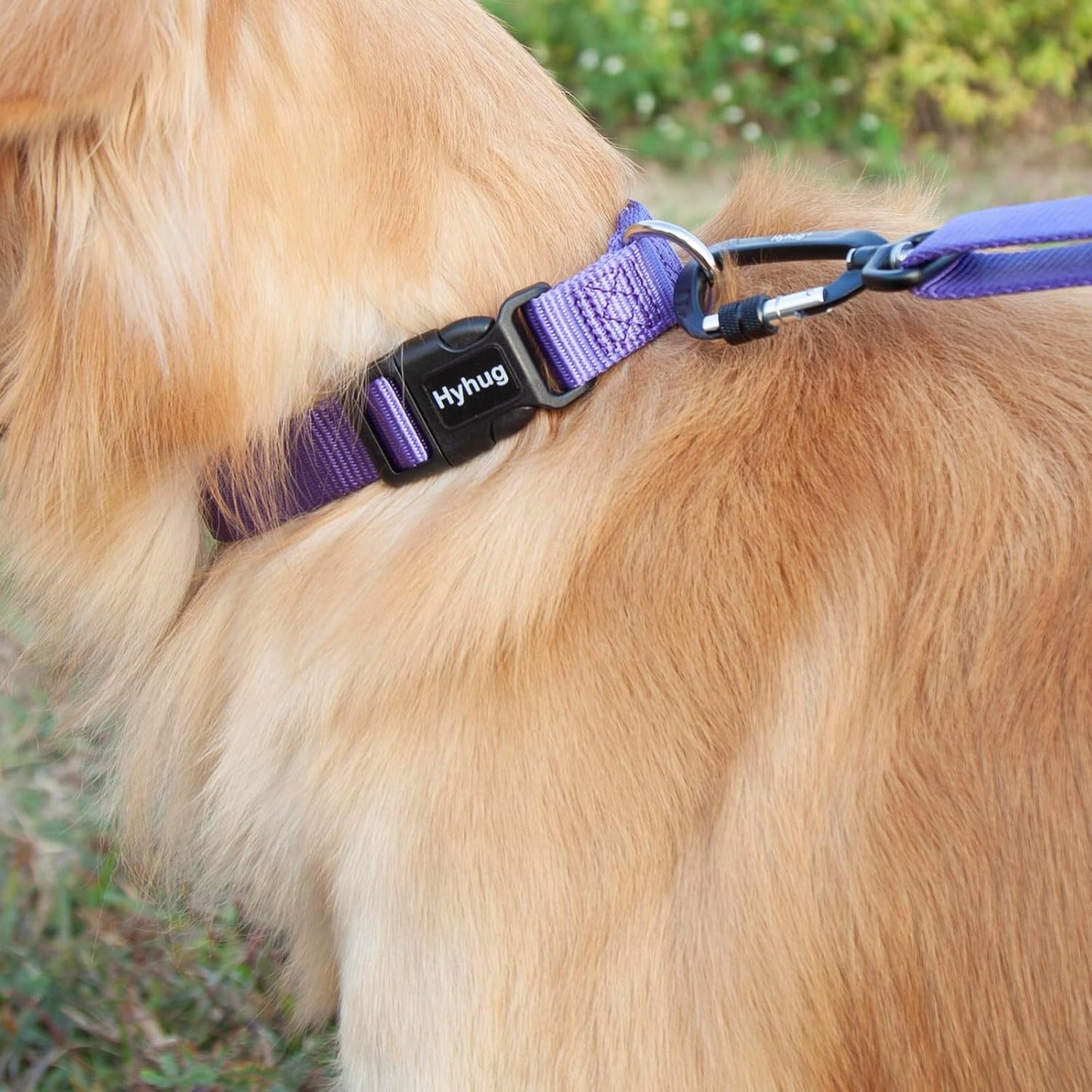 Hyhug Pets Solid Color Classic Regular Heavy Duty Basic Collar for Large Dogs, Unique Design Adjustment Triglide Slide (Buckle) Can Attached Name Tag Accessories. (Large, Ultra Violet)