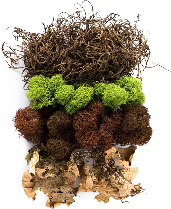 SuperMoss (23303) Moss Mix – Premium Decorative Moss for Crafts, Terrariums, Wedding & Table Décor, 80.75 Cubic inches (Approx. 2 oz), Oregon