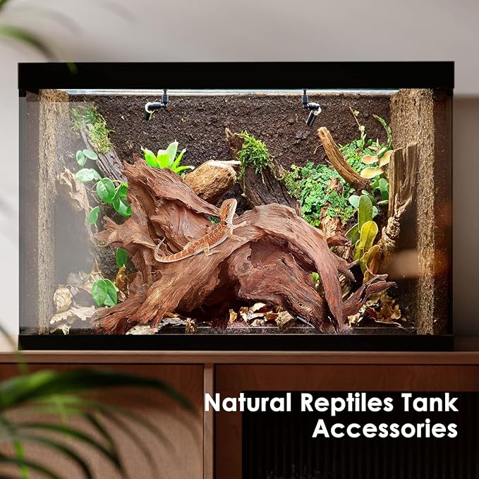 Natural Aquarium Driftwood for Fish Tanks & Reptile Terrariums – Safe Fish Tank Decorations, Unique Twisted Branches 2-Piece 10-14 Inch Low Tannin, Easy to Sink
