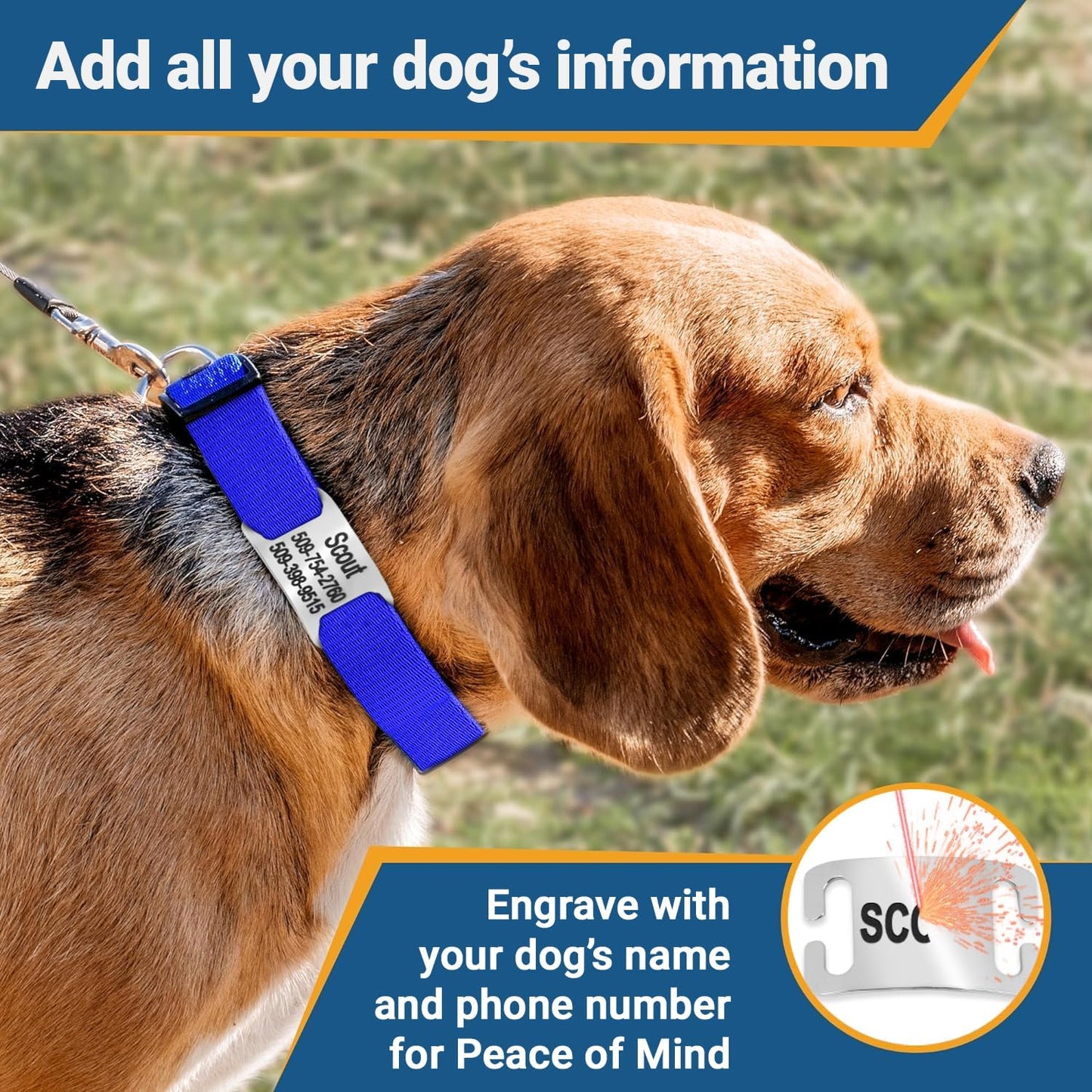 GoTags Personalized Dog Collar with Nameplate, Adjustable Dog Collar with Custom Engraved Slide On Pet ID Tag in Stainless Steel, Silent, No Noise Dog Tag for Large Medium and Small (Black, Medium)