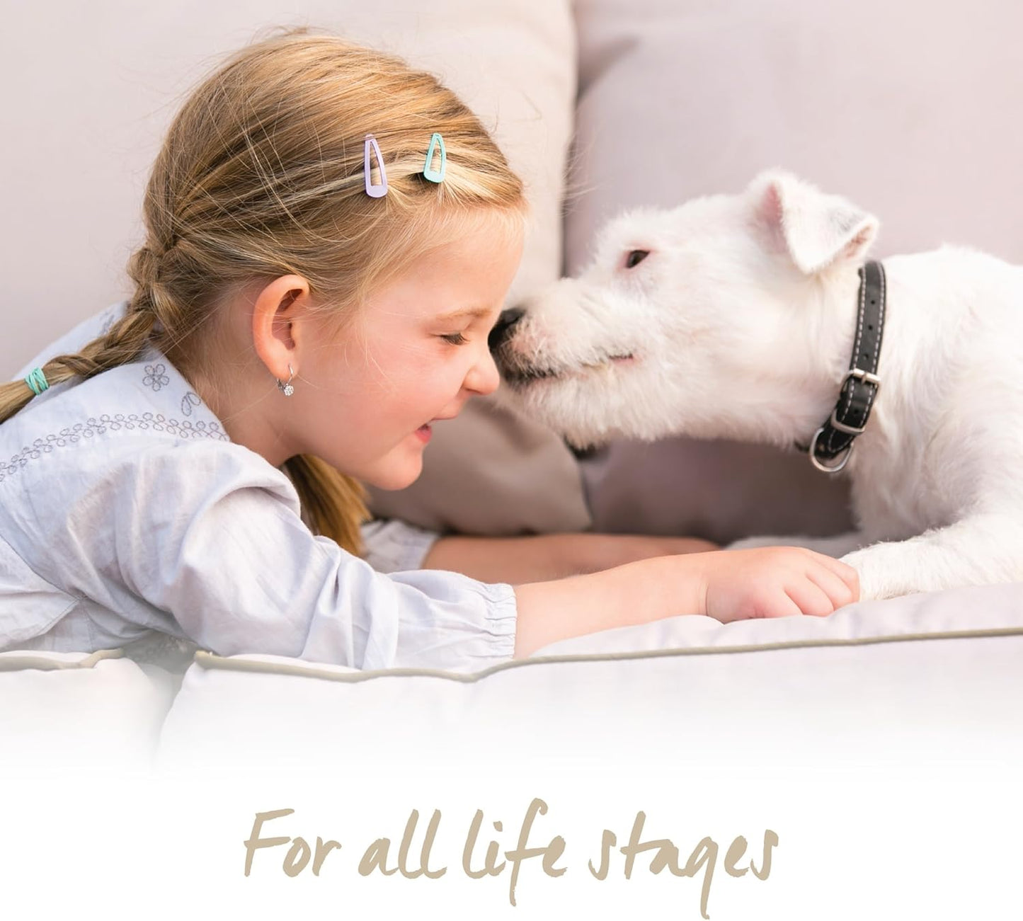 K9 Natural - Grain Free Freeze Dried Dog Food - Beef, 17.6 Ounce