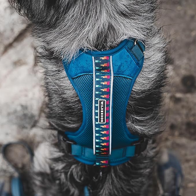 Wilderdog Lightweight Dog Harness with Reflective Straps - Medium - Pacific Blue