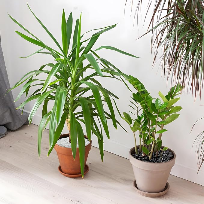 Mr. Fireglass Black Polished Pebbles, 3/8" Aquarium Rocks Natural Decorative River Rocks Gravel for Indoor Plants,Vases, Landscaping, Succulents and Home Decor (2-lb Bag)