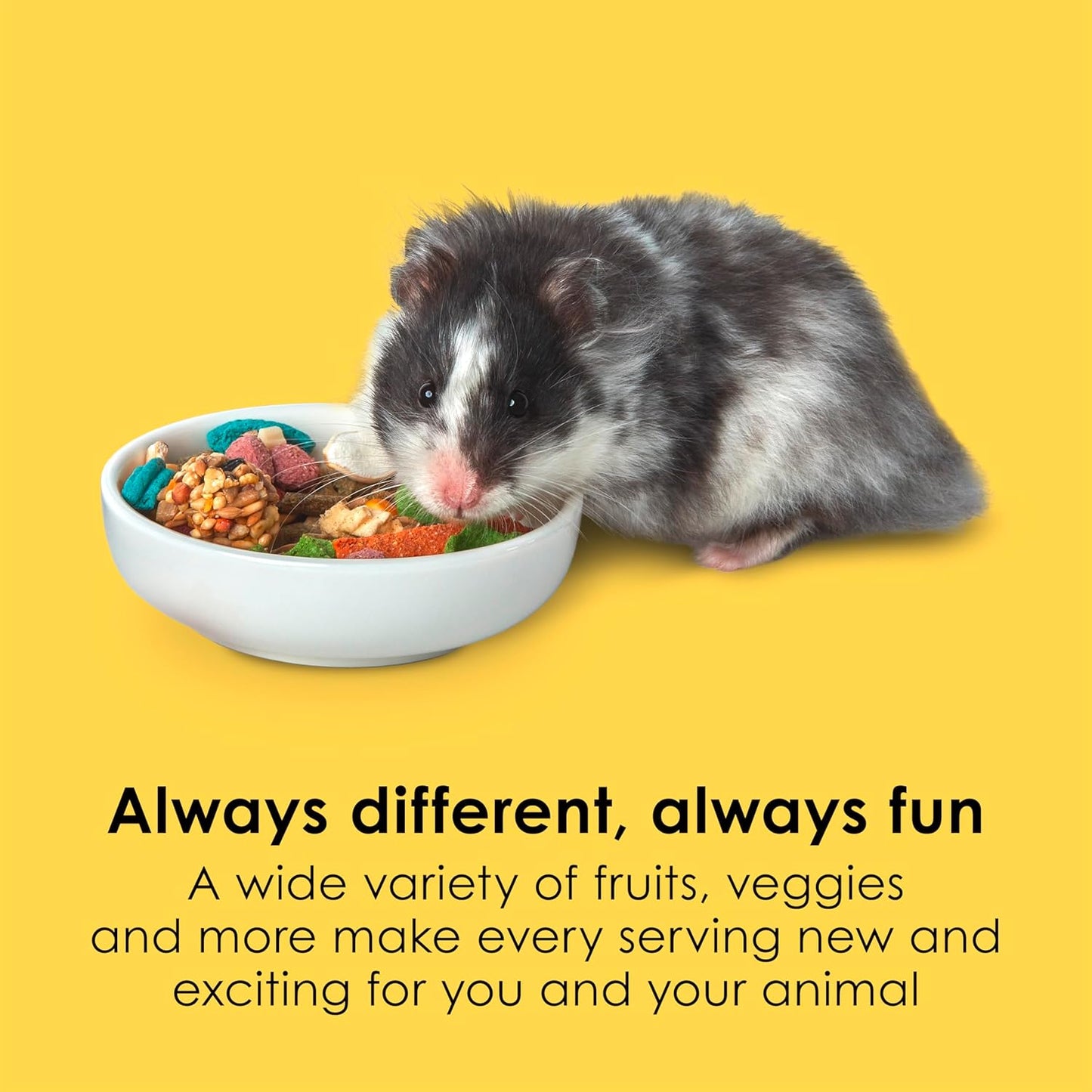 Kaytee Fiesta Hamster Gerbil, 2.5-Pound