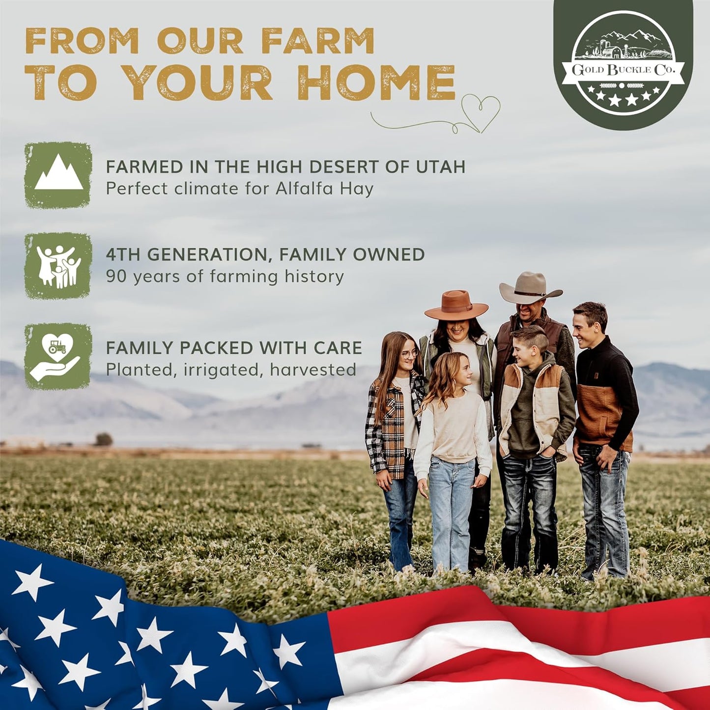 40lb Freshly Dried Organic Alfalfa Hay for Guinea Pigs, Rabbits, Chinchillas, Goats, Hamsters & Ferrets, Small Animal Food Rich in Protein & Fiber, Hand-Selected, Hand sorted, USA Grown