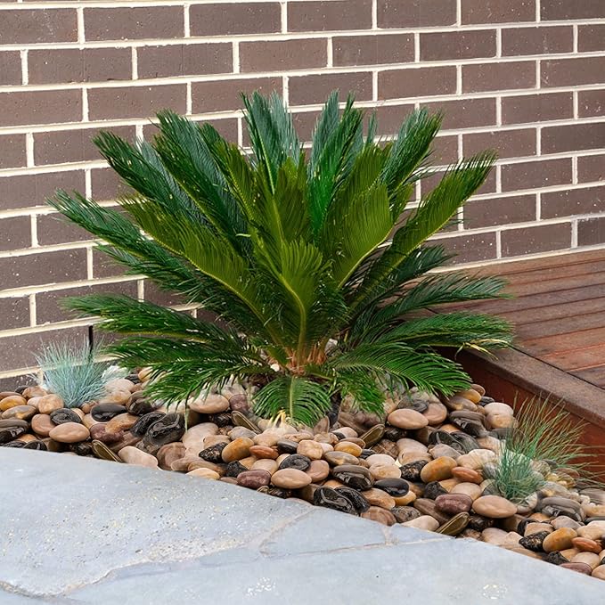 Mr. Fireglass Natural Polished Pebbles, 1.5-2 Inch Decorative Mixed Color Stones Aquarium Gravel River Rocks for Vase, Succulents, Landscaping and Home Decor (5-lb Bag)