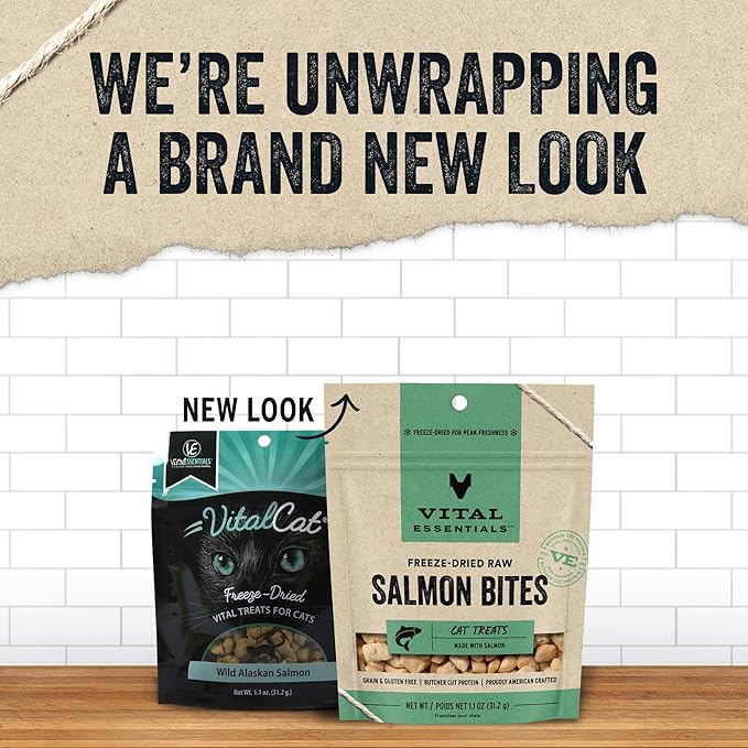 Vital Essentials Salmon Bites Cat Treats, 1.1 oz | Freeze-Dried Raw | Single Protein | Grain Free, Gluten Free, Filler Free