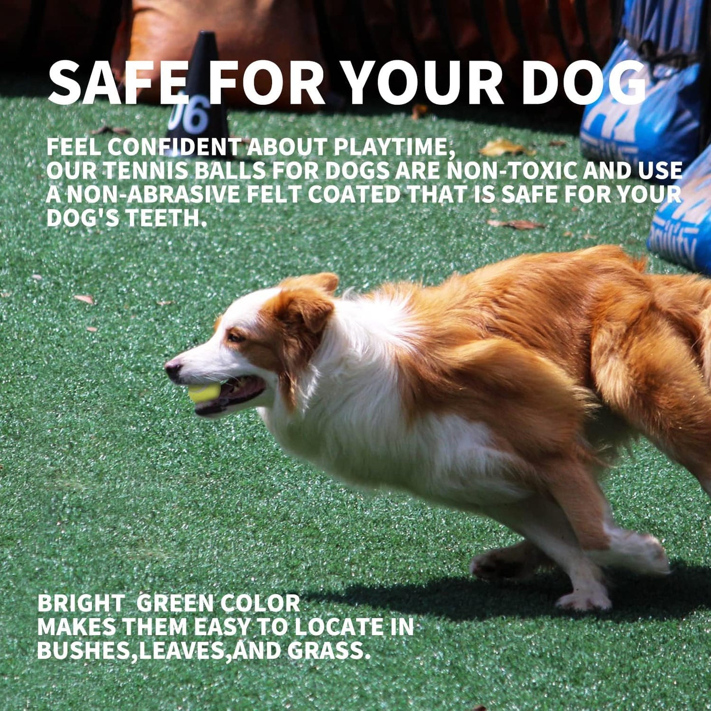 ALL FOR PAWS Interactive Super Bounce Tennis Balls Dog Toy, Pet Safe Toys for Exercise and Training, 2.5 Inch Diameter (6 Pack)