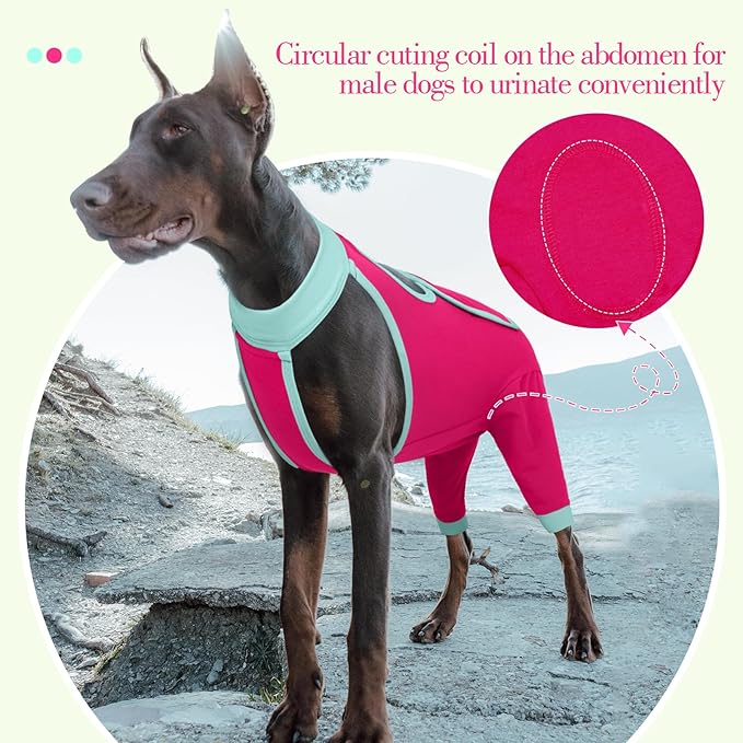 ROZKITCH Dog Surgery Leg Sleeve Rear Legs, Male Female Pet Prevent Licking Wound Elbow Knee Protector, Dog Recovery Suit Cone Collar Alternative Pants Shirt for Wound Heal Wrap Rosered XL