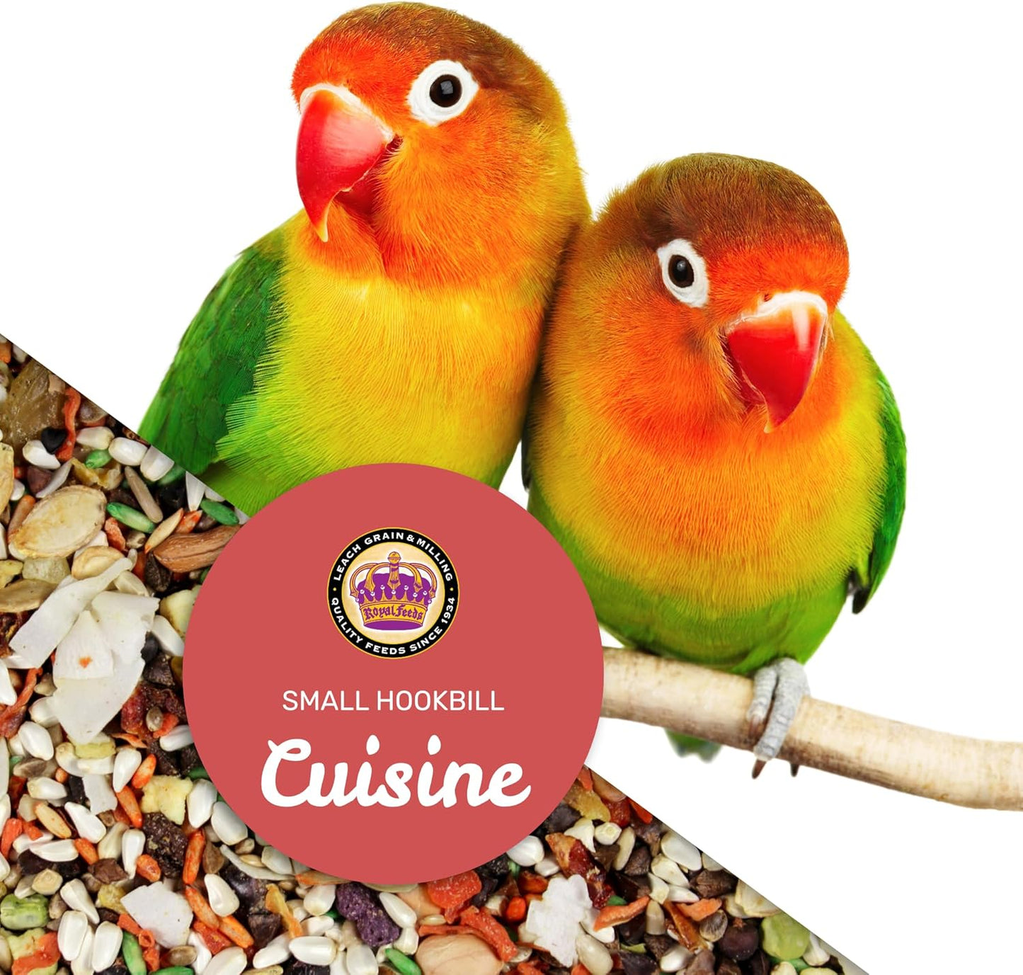 Small Hookbill Cuisine, 4 Lbs Premium Birdseeds for Parrot, Bird Food for Small Hookbill, Supports Daily Energy, Growth & Digestive Health, Nutrient-Rich Parrot Bird Seed for Outside Feeders