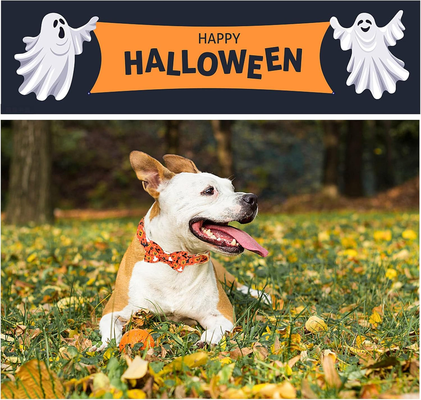 Unique style paws Halloween Dog Collar with Bow Tie Cotton Adjustable Puppy Collar for Small Medium Large Dogs-S