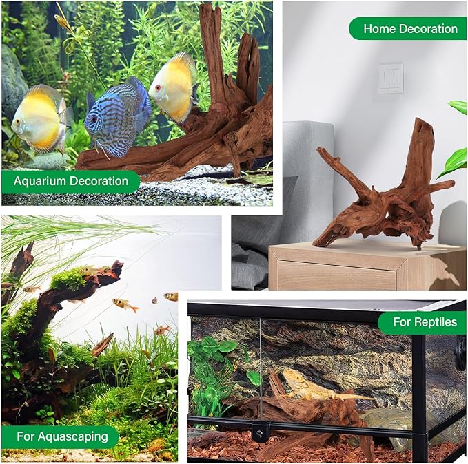 Driftwood for Aquarium Natural Aquarium Wood for Aquascaping Fish Tank Decorations Reptile Tank Decor (Natural Driftwood 6-10" (Pack of 3)+Protein Cotton)