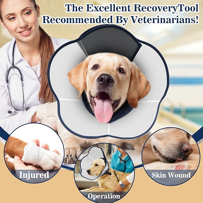 Hard & Heavy Plastic Dog Cone Collar Alternative for Extra Large Dogs (Adult Lab Golden GSD) After Surgery, Adjustable Pet Recovery Cone Anti-Lick, Elizabethan Protective Cone of Shame for Healing