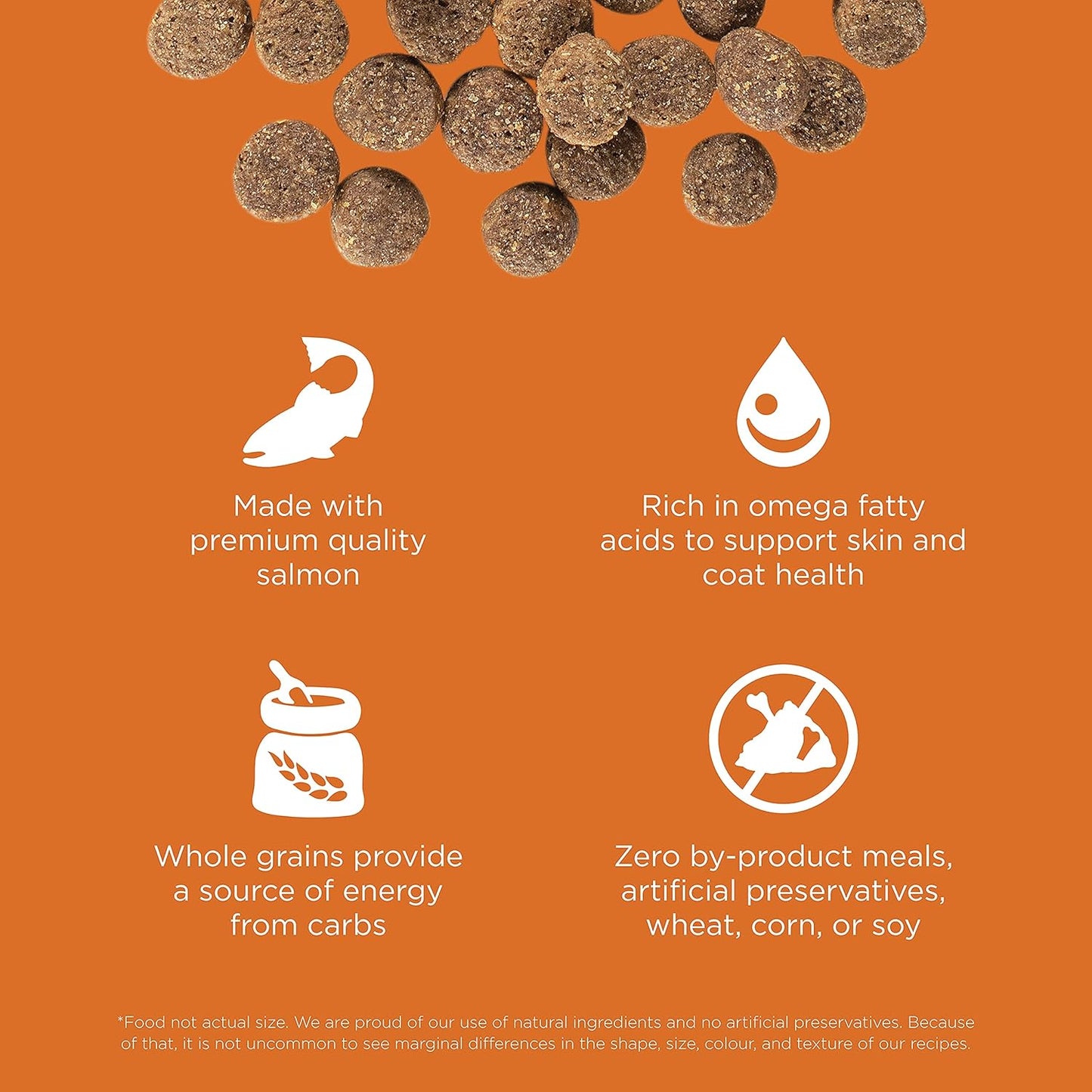 Go! Solutions Skin + Coat Care, Dry Dog Food, Salmon Recipe with Grains, 3.5 lb Bag