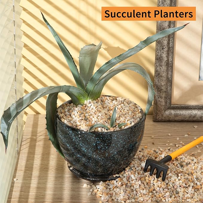 2lb Mixed Sand Rocks Pebbles Pumice Potting Soil Amendment Succulent Cactus Bonsai Gritty Rock Decorative Gravel for Succulents, Bonsai, Vase Fillers,Terrarium Plants