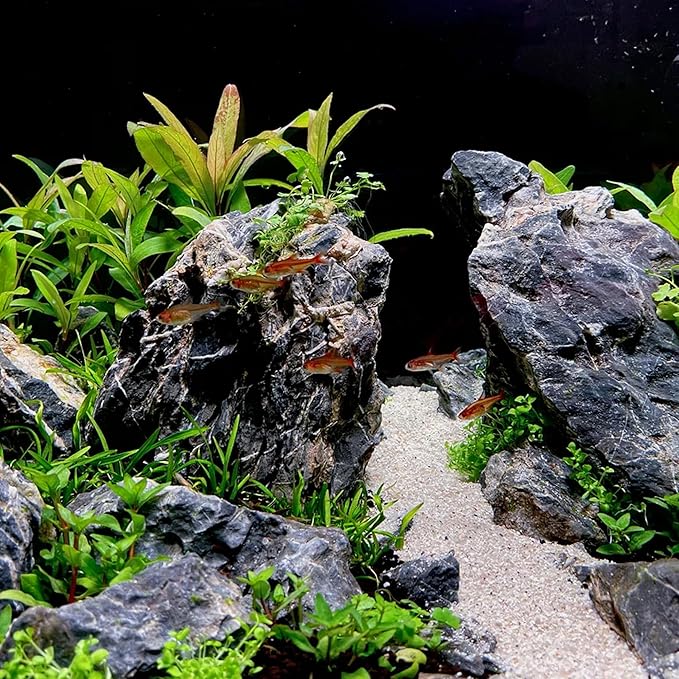 10-12 Inches Natural Seiryu Stone 3 PCS Extra Large Aquarium Rocks for Aquascaping, Aquarium Landscaping, Terrariums, Fish Tank Decoration, Vivariums, Paludarium, Amphibian Enclosures