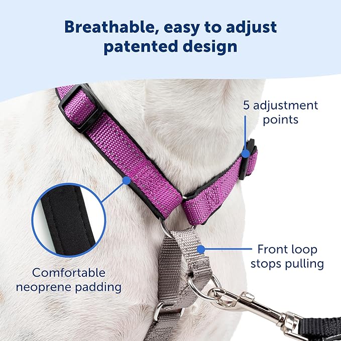 PetSafe 3 in 1 Dog Harness - No Pull Solution for Dogs - Reflective Dog Harness - Front D-Ring Clip Helps Stop Pulling - Comfortable Padded Straps - Top Handle Enhances Control - Black - Large