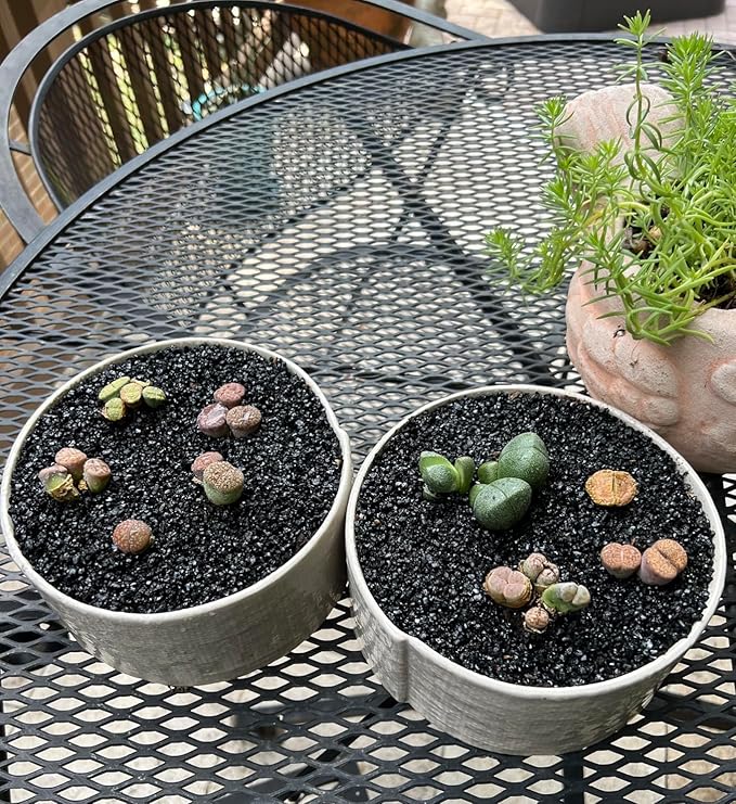 TOYPOPOR 2.2 lb Black Lava Pebble Vase Filler Pebbles Stones Crafting Floral Arranging Home Decor Decorative Colored Crushed Stones Special Black Aquarium Gravel for Freshwater Aquariums