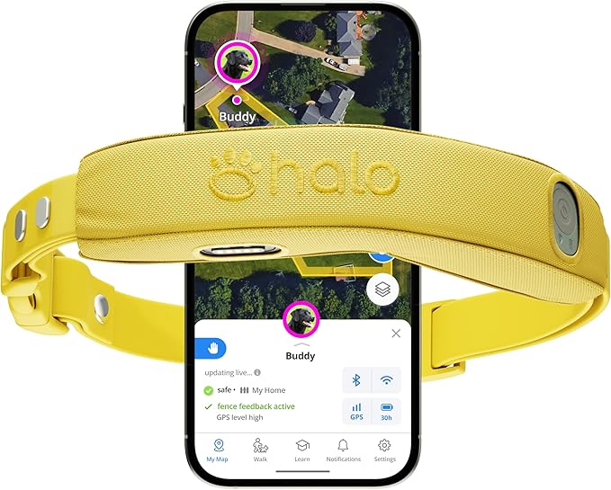 Halo Collar 4, All New GPS Wireless Dog Fence & Dog Training Collar with GPS Tracker, Subscription Required, Waterproof, One Size, Sunburst