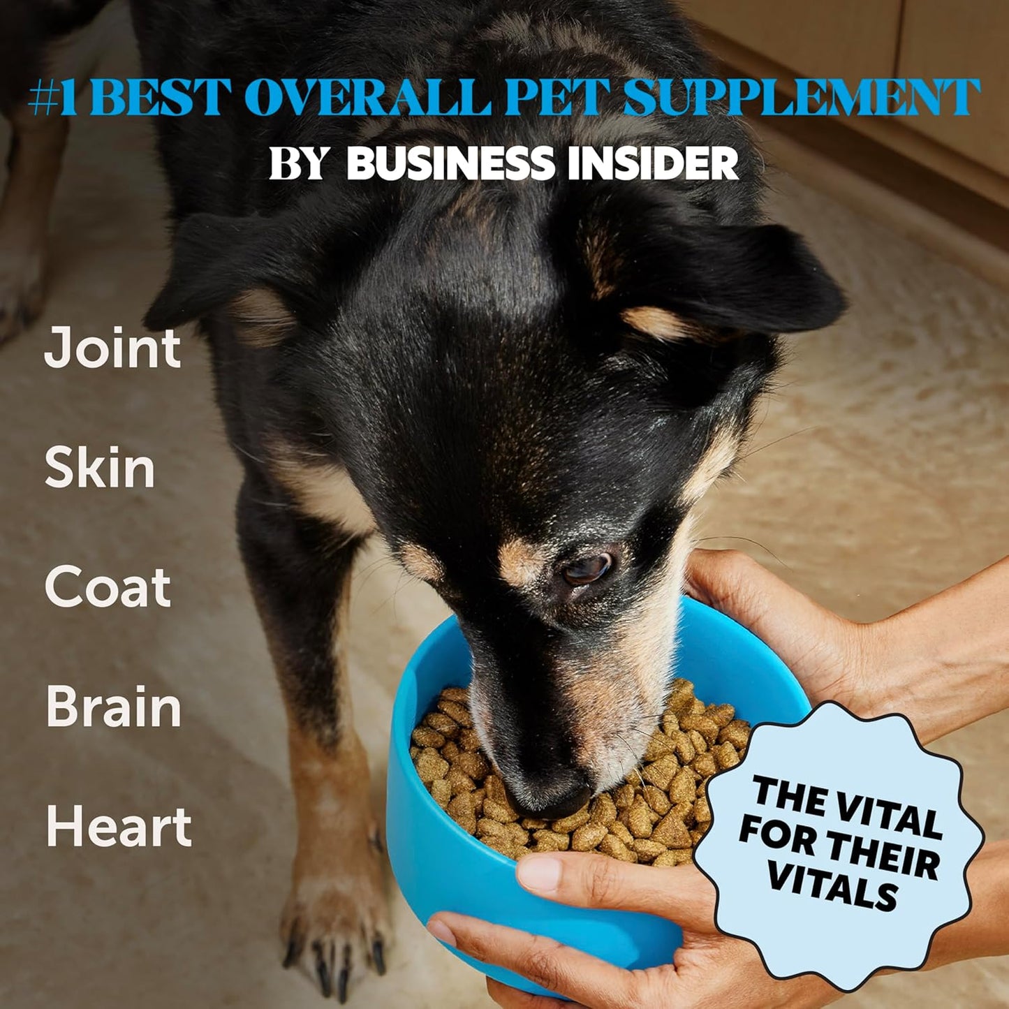 Omega 3 Fish Oil Supplement for Dogs & Cats (32oz), Wild Caught Omega 3 Fish Oil for Skin and Coat Health, Supports Shedding, Skin & Coat, Immunity, Joint, Brain & Heart, EPA + DHA