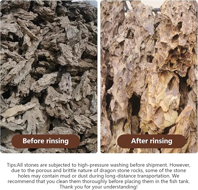 Dragon Stone Rock for Aquascaping,Aquarium Decor, Fish Tank Decorations,3-10 Inches Natural Ohko Stone for Fish Tank Landscaping (6.6 Pounds)