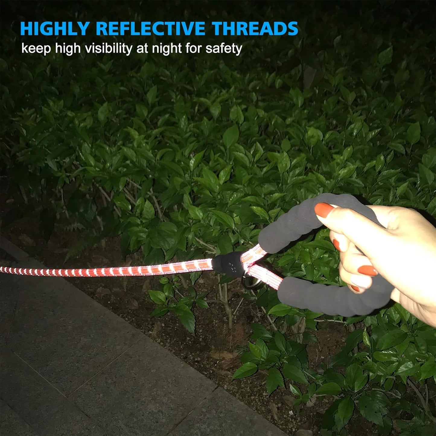 Heavy Duty Dog Leash - Comfortable Padded Handle, 5 ft Long - Dog Leashes for Small Medium Large Dogs (Leash+Collar L Neck 20"-25", Pink)