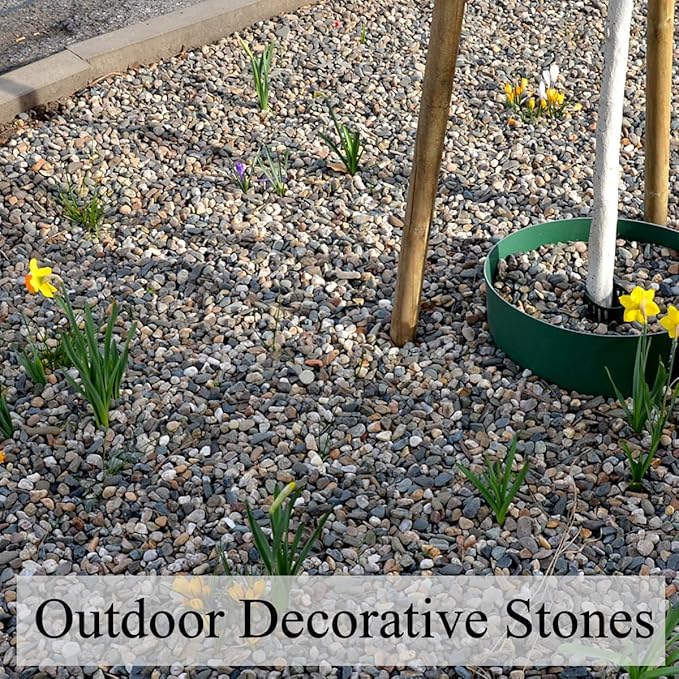 20lbs Natural Fish Tank Gravel,1/4 Inch Pea Gravel. Mixed Color River Rocks for Aquarium, Succulent, Vase, Cactus Bonsai, Plant Soil Cover and Outdoor Landscaping Rocks