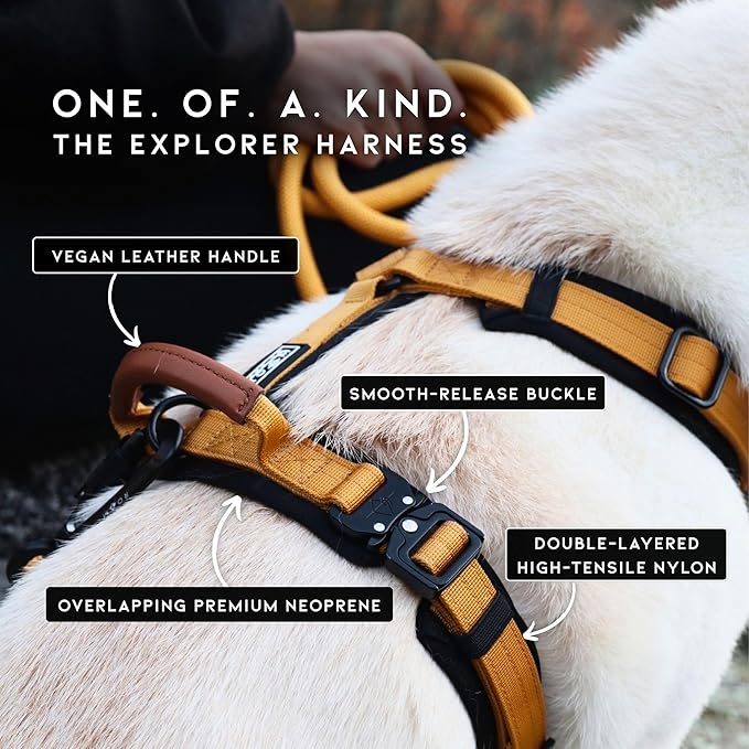 MADE TO ROAM Premium Explorer Harness - Y-Shaped Dog Harness with Adjustable Durable Nylon, Soft Padding, Metal Buckles and Leather Handle for Small, Medium, Large Dogs (Oregon Haze, Size 7)