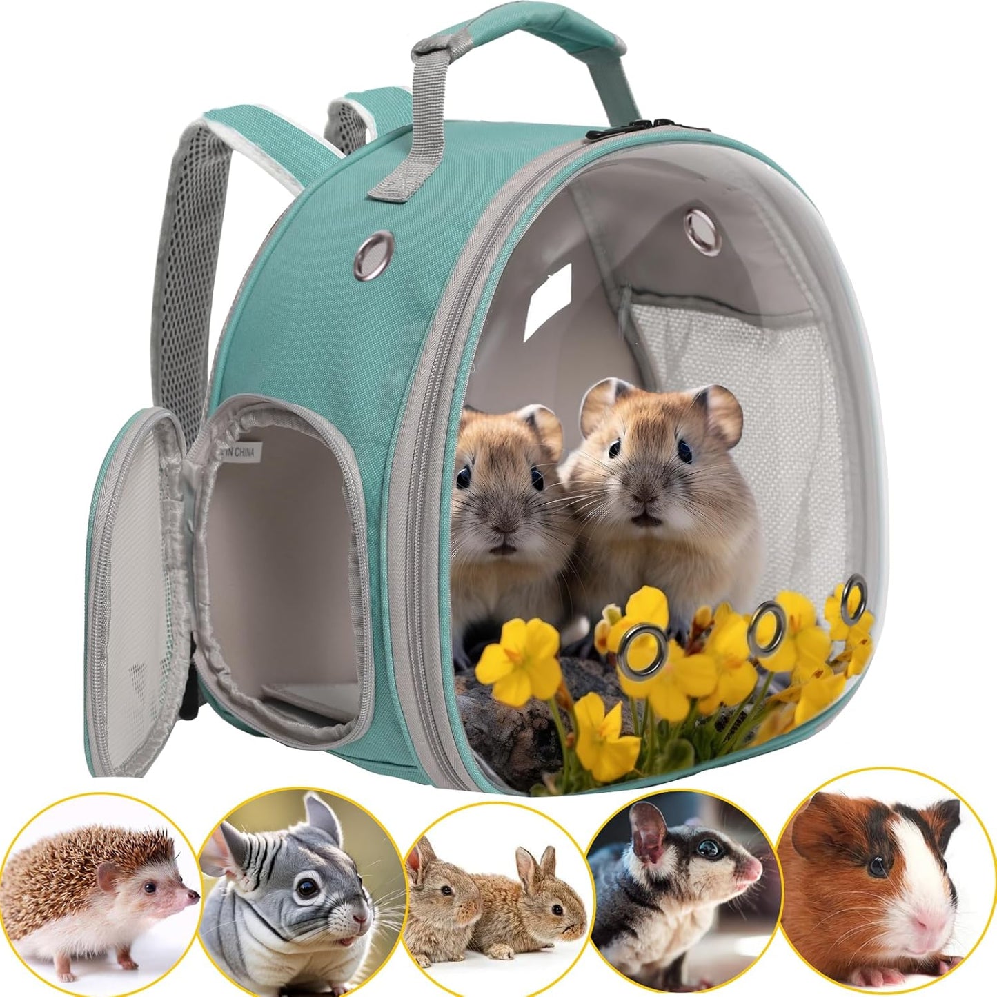 Guinea Pig Backpack Carrier, Bearded Dragon Carrier Backpack with Clear Bubble Window,Small Animal Travel Backpack for Hedgehog Rat，Chameleon,Rabbit,Sugar Glider,Airline Approved (Green, Backpack)