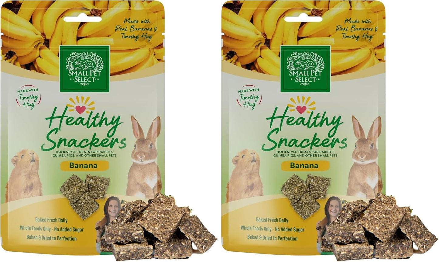 Small Pet Select - Healthy Snackers - Banana (Pack of 2)