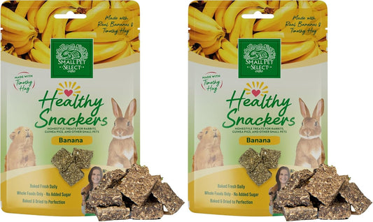 Small Pet Select - Healthy Snackers - Banana (Pack of 2)