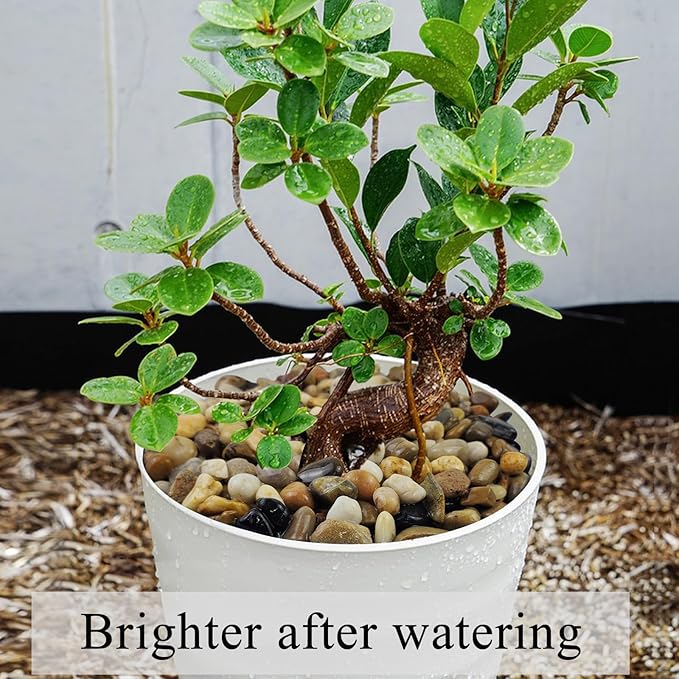 5 lbs Gravel for Fish Tank, 2/5 Inch Mixed Color River Rocks for Aquarium, Vase Fillers, Cactus Bonsai, Plant Soil Cover and Outdoor Garden Landscaping Rocks