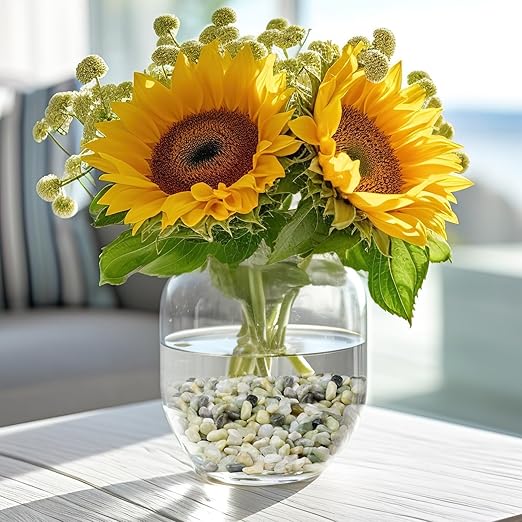 2.5 lbs Jade Pebbles for Indoor Plants, 3/8" Plant Rocks for Pots Indoor, Decorative Small Stones for Plants, Bamboo,Vase, Succulent, Highly Polished Small River Rocks