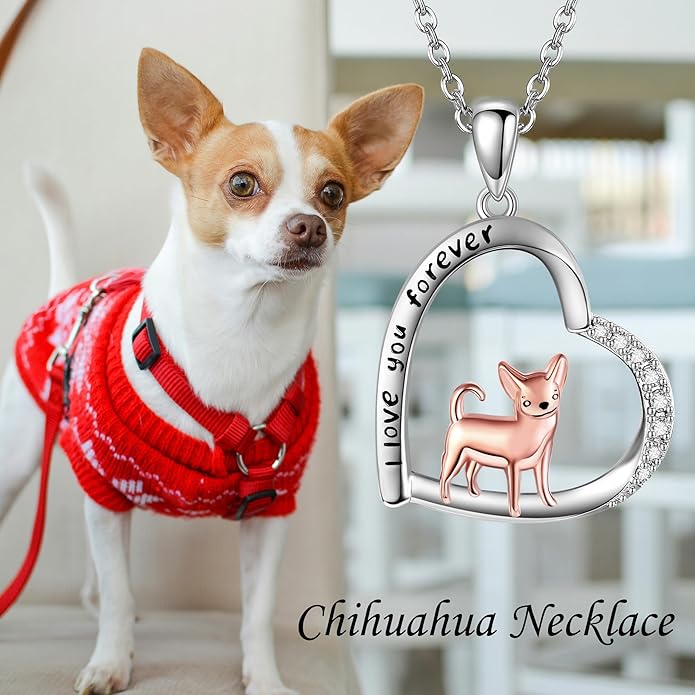 Eagle/Moth Necklace Sterling Silver Eagle Jewelry Eagle Gifts for Women Girls