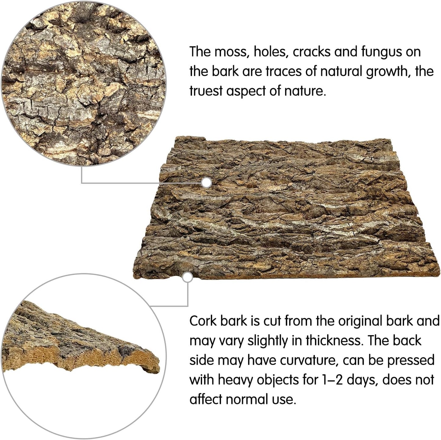 kathson 6Pcs Cork Tile Background Bark 11.8”Lx7.9”W Reptile Tank Background Terrarium Backdrop Wall Decor Natural Reptile Climbing Mat for Spider Gecko Lizard Chameleon Bearded Dragon Turtle Snake