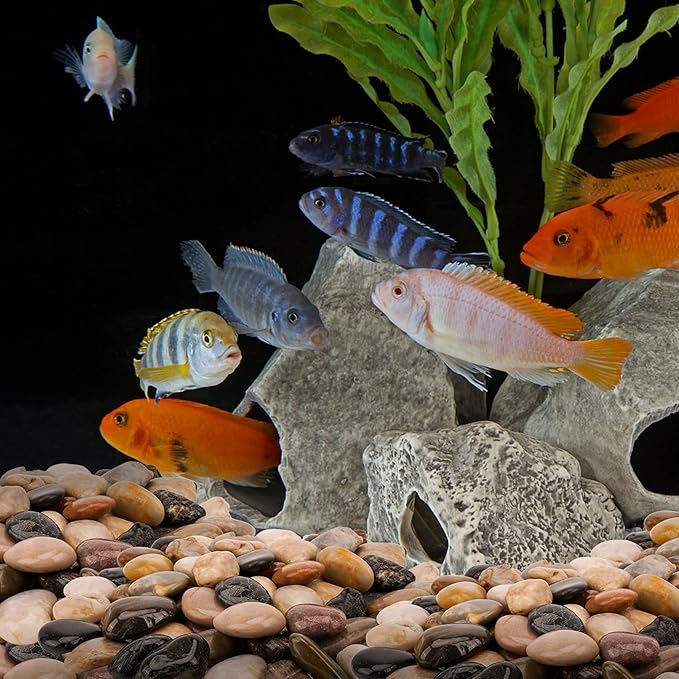 Mr. Fireglass Natural Polished Pebbles, 1.5-2 Inch Decorative Mixed Color Stones Aquarium Gravel River Rocks for Vase, Succulents, Landscaping and Home Decor (5-lb Bag)