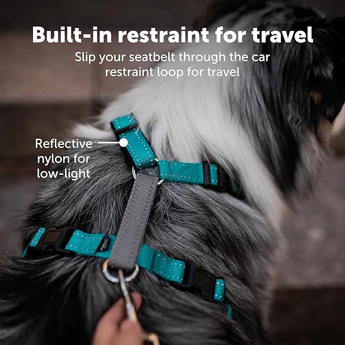 PetSafe 3 in 1 Dog Harness - No Pull Solution for Dogs - Reflective Dog Harness - Front D-Ring Clip Helps Stop Pulling - Comfortable Padded Straps - Top Handle Enhances Control - Teal - Small