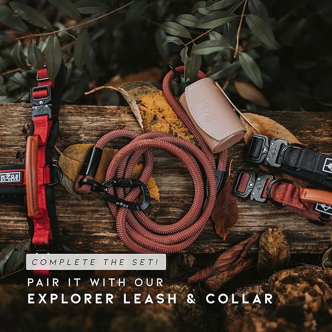 MADE TO ROAM Premium Explorer Harness - Y-Shaped Dog Harness with Adjustable Durable Nylon, Soft Padding, Metal Buckles and Leather Handle for Small, Medium, Large Dogs (Texas Flair, Size 1)